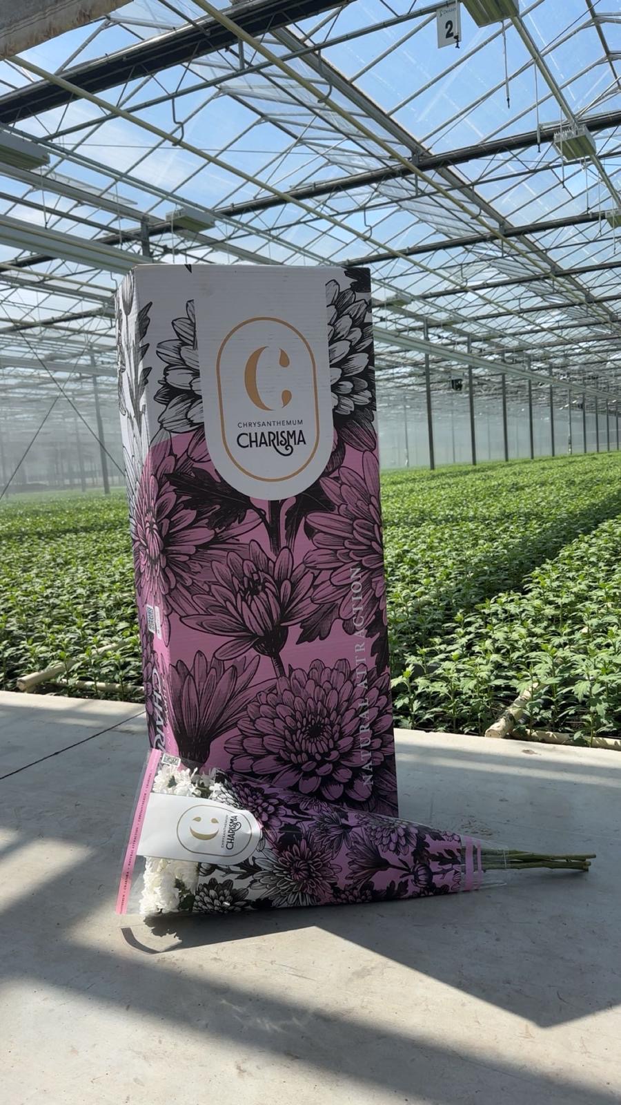 Flowers packaged at the greenhouse