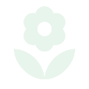 Fresh flowers for export